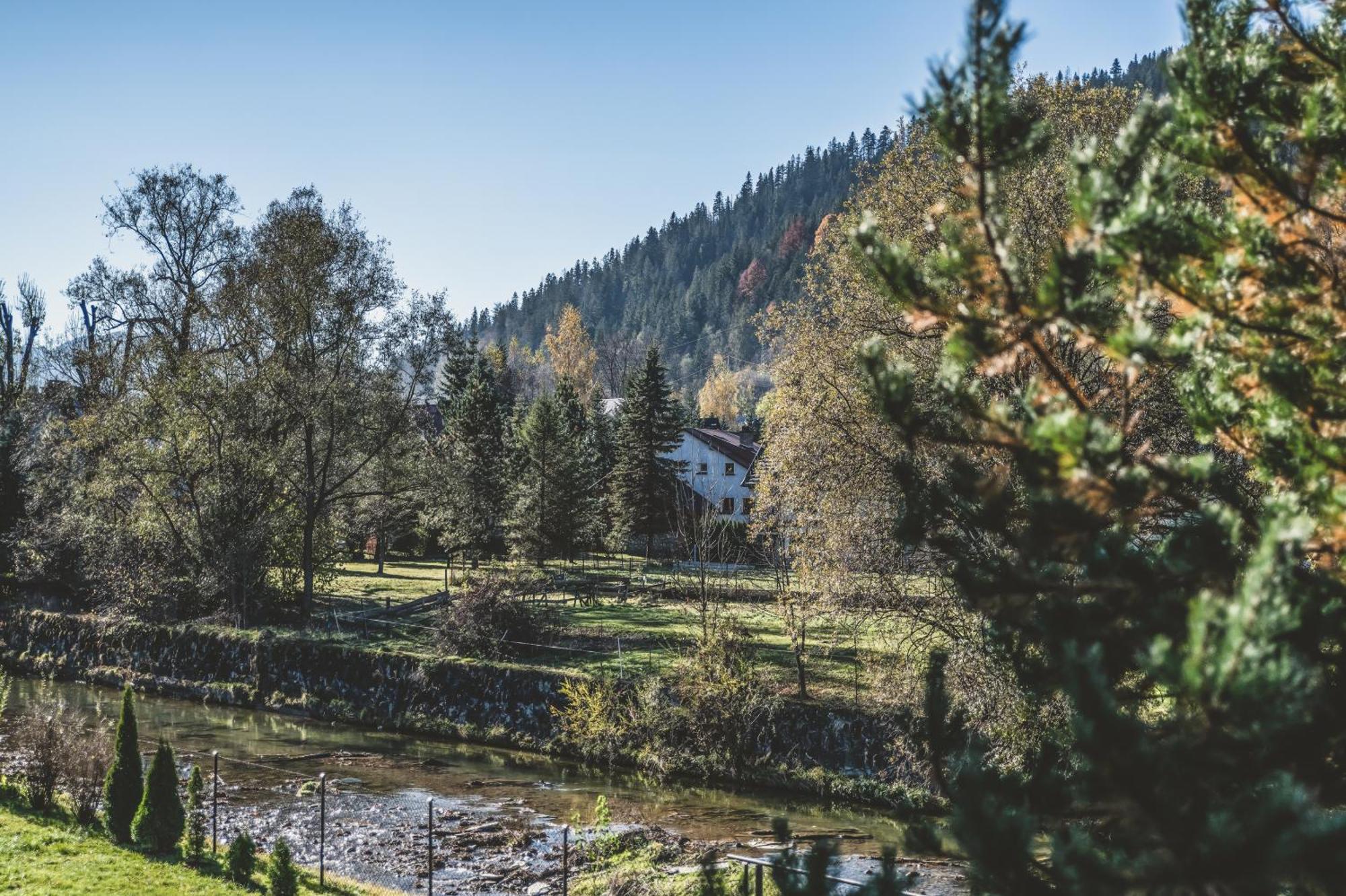 Pokoje Goscinne Na Stromej Zakopane Eksteriør billede